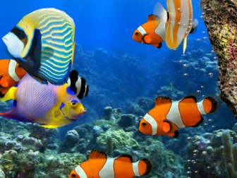 MyReef 3D Aquarium HD