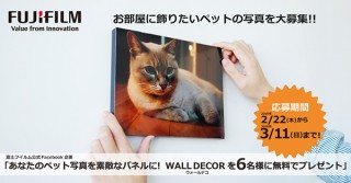 写真を送ると部屋に飾れるパネルにしてもらえる可能性がある富士フイルムのキャンペーンが実施中