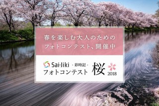 写真SNSサイト「Sai-Jiki-彩時記-」が桜をテーマにしたフォトコンテストを開催中