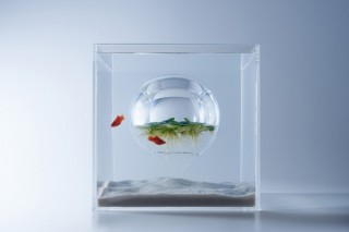日本デザインセンターが設計に協力！すみだ水族館の新しい展示「waterscape 水の中の風景」
