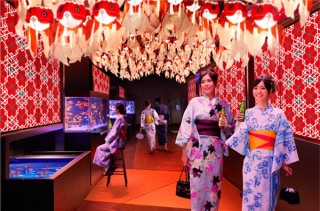 約1000匹の金魚を美しい空間に展示する夏祭り「東京金魚ワンダーランド2018」
