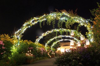 印象派をテーマにした庭園でのライトアップイベント「ジャルダン・デ・ルミエール ～光の庭園～」
