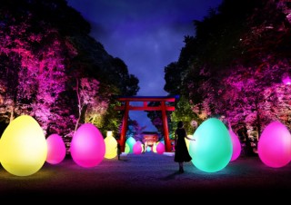 京都の世界文化遺産を舞台にチームラボのデジタルアートを楽しめる「下鴨神社 糺の森の光の祭」