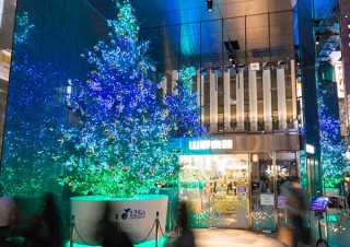 銀座の山野楽器本店がツリーの設置と合わせた「Instagram クリスマスツリー投稿キャンペーン」を実施