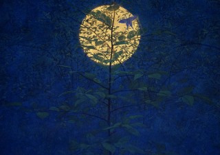 3D音響も用いて“時空を超えた癒し”が表現される日本画家の福王寺一彦氏の個展「Starry in the moon」