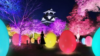 高知城がインタラクティブな光のアート空間に変わる「チームラボ 高知城 光の祭」
