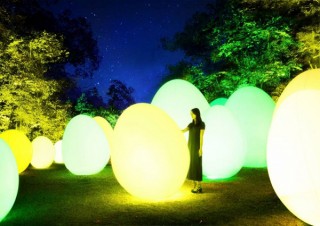 宮沢湖と湖畔の森がインタラクティブな光のアート空間になった「チームラボ 森と湖の光の祭」