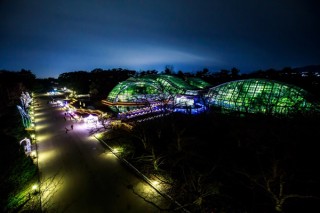 くすのき並木や花壇などが華やかに照らし出される京都府立植物園の「イルミネーション2018」