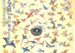 造形的に美しい鳥の巣の実物と絵画を合わせて展示する鈴木まもる氏の個展「鳥の巣World」