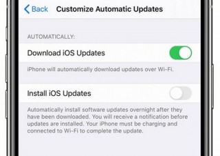 iOS13.6ベータ版、「最新版をダウンロードするけどインストールは手動」が可能に